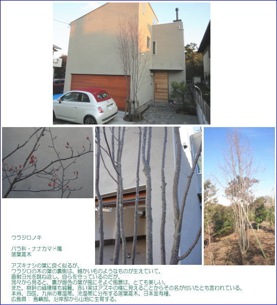 ヨーロッパの石畳みを再現