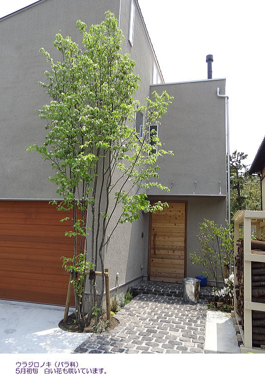 ヨーロッパの石畳みを再現